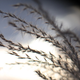 Image for article titled Shooting Challenge Freelensing Gallery 2